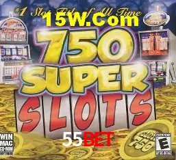 Sistemas de Segurança 55Bet